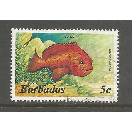 Barbados 1986 Marine Life 5c, used. SG765A/796A