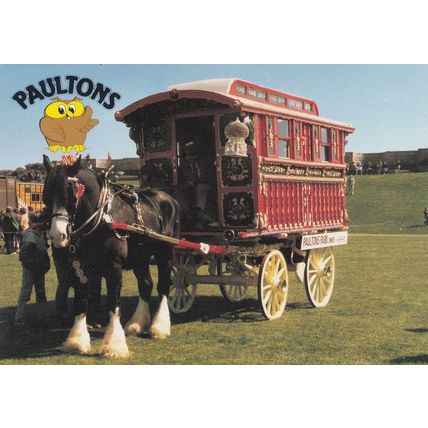 Burton Romany Horse Gipsy Wagon Peppa Pig Paultons Hampshire Postcard