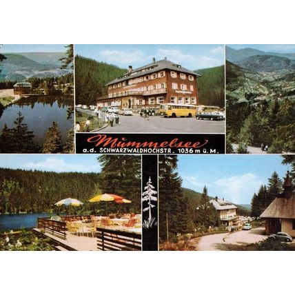 Mummelsee Schwarzwaldhochstrasse Black Forest Hotel German Postcard