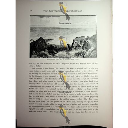 Mount Carmel Monastery, Israel (Reverse, View To Cyprus), Book Illustration 1890