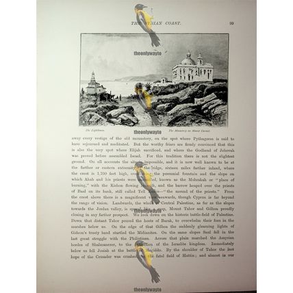 Mount Carmel Monastery, Israel (Reverse, View To Cyprus), Book Illustration 1890