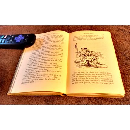 The Bobbsey Twins On A Houseboat 1955 By Laura Lee Hope Great Shape