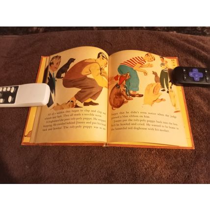 Wonder Book Hoppy The Puppy By Barbara S. Bates 1950 Great Shape