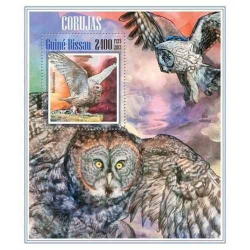 GUINE BISSAU 2013 SHEET MNH OWLS HIBOUX EULEN BUHOS CORUJAS BIRDS AVES 6A