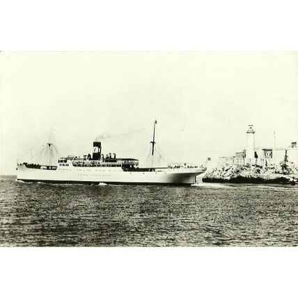 Standard Fruit SS CONTESSA Official Postcard