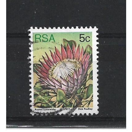 SouthAfrica.SG418 5c Protea Cynaroides.Fine Used.Sep25c