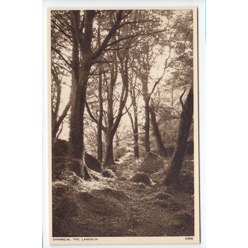 The Landslip Shanklin Isle of Wight Postcard V900