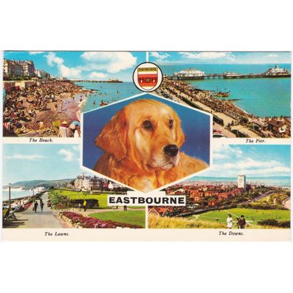 Elgate postcard Eastbourne, Sussex multiview. Pier, The Downs, The Lawns