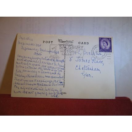 NEW FOREST COTTAGE used postcard by J. Salmon 1966 pm =