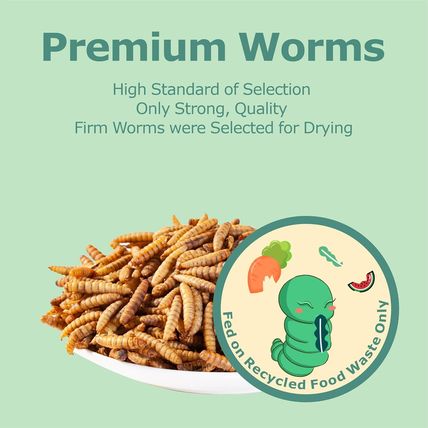 10LB Dried Black Soldier Fly Larvae, More Calcium than Dried Mealworms, High Pro