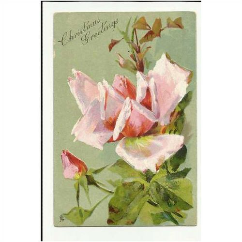 TUCK CHRISTMAS Postcard 8445 "Christmas Greetings"