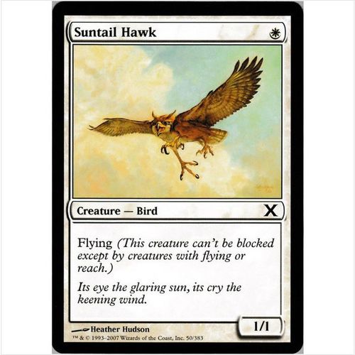 Magic the Gathering - Tenth Edition - #50/383 - Suntail Hawk