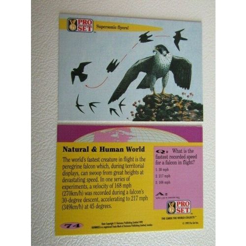 Pro Set 1992 Guinness Book of Records Trade Cards Card Variants (eb2)