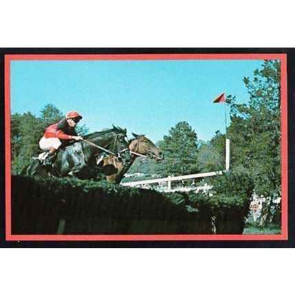 Tryon North Carolina Horse Racing Block House Race Madamber Jockey Rare Postcard