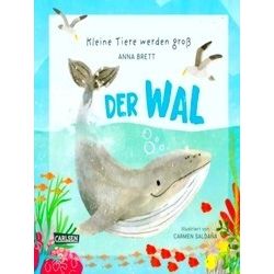 Kleine Tiere werden gross - Der Wal