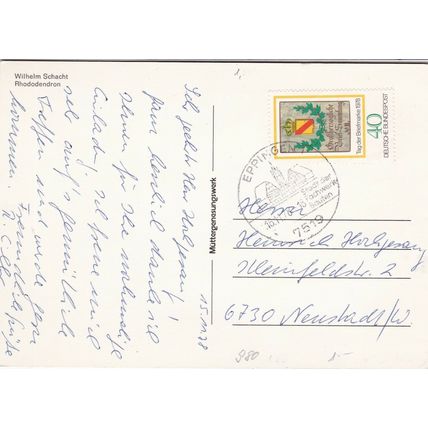 Rhododendron Wilhelm Schacht Posted in 1978 Postcard VGC