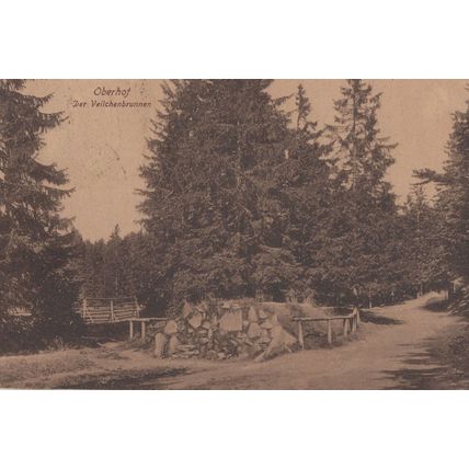 Oberhof der Veilchenbrunnen German Old Postcard