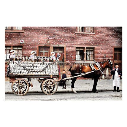 ptc6689 - Yorks - Ryder & Son's Aerated Waters Horse/Cart, Bradford - print 6x4