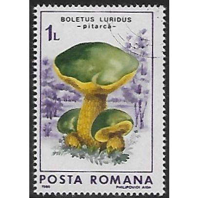 Mi 4289: 1 L. multicoloured Fungi: Lurid Bolete (Boletus luridus)