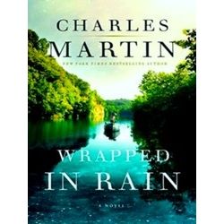 Wrapped In Rain