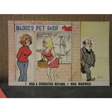 SAUCY SEASIDE POSTCARD unused CARDTOON C57 comic humour a cockatoo =
