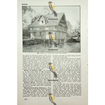 Boathouse, Light & Shade Lead Pencil Drawing, Book Illustration (Print), c1907
