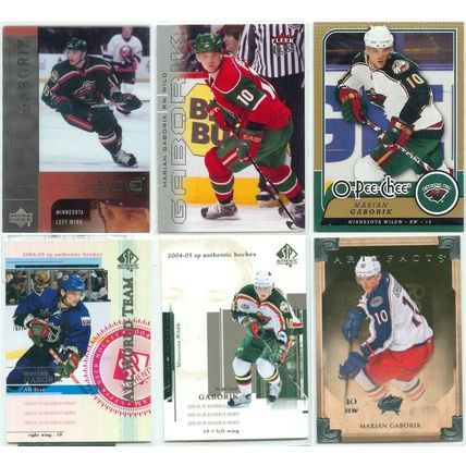 Marian Gaborik 18x card lot incl Inserts