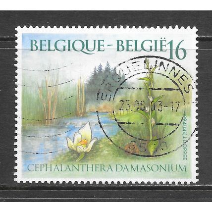 BELGIUM BELGIE BELGIQUE 1994 Cephalanthera damasonium nature river plant flower