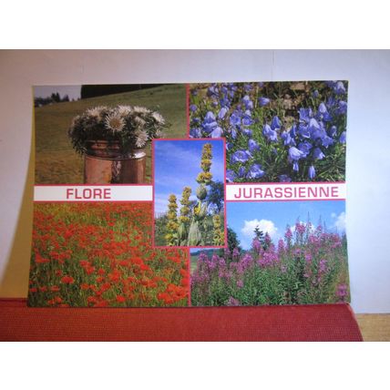 multiview of FLOWERS. French unused postcard dated 1991 #
