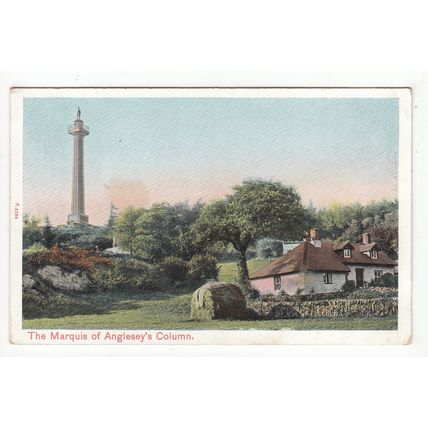 The Marquis of Anglesey's Column Postcard Peacock Series