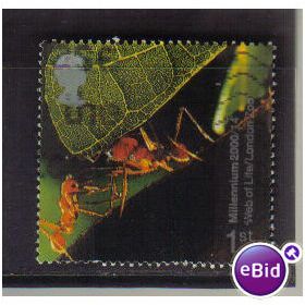 2000 GB SOUTH AMERICAN LEAF CUTTER ANTS F/U SG2139