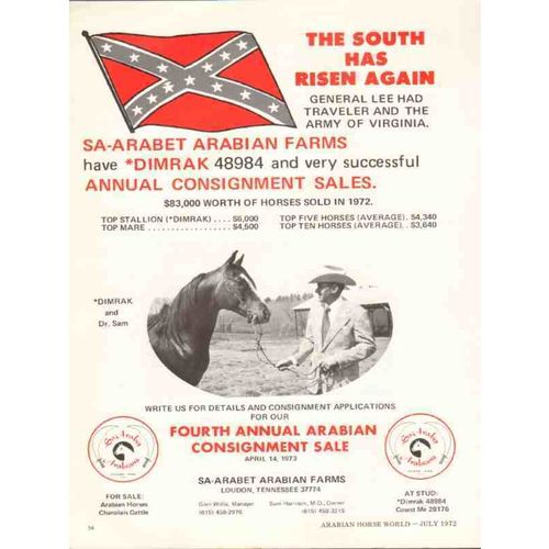 sa-arabet arabian farms 1972 dimrak south risen again horse vintage ad