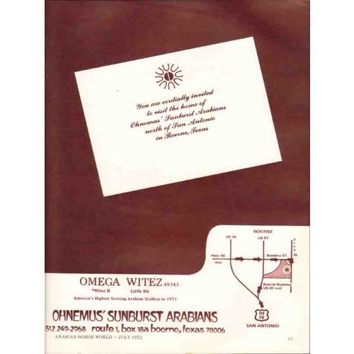 ohnemus sunburst arabians 1972 omega witez invited horse vintage ad