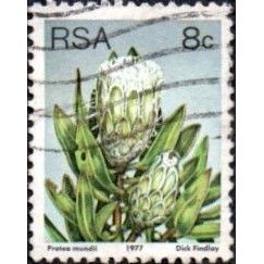 South Africa. 1977 8c Value. Protea Mundii. Fine Used