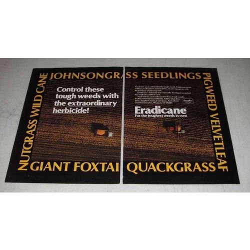 1980 Stauffer Eradicane Ad - Control These Tough Weeds