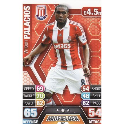 Match Attax 2013/2014 260 Wilson Palacios Stoke City