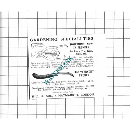 Hill & son Haymarket London Gardening Small Advert - 1914 Clipping