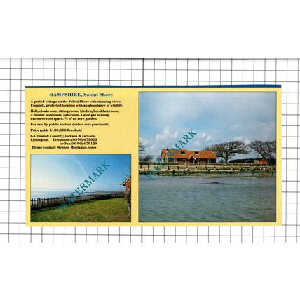 Solent Shore Hampshire House Sale Advert- 1991 Cutting