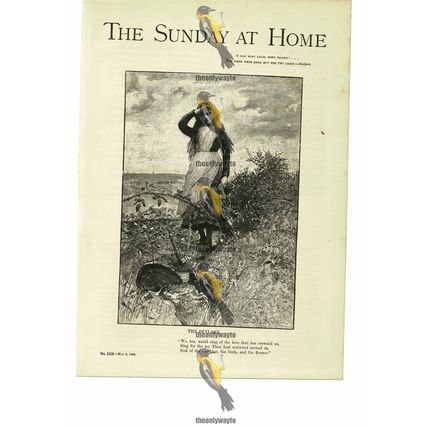 Skylark, Illustrated Poetry, Mary Rowles, Book Illustration (Print), 1885