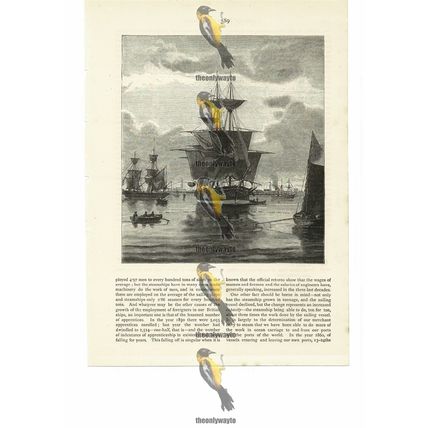 Training Ships In Harbour, Book Illustration (Print), 1884