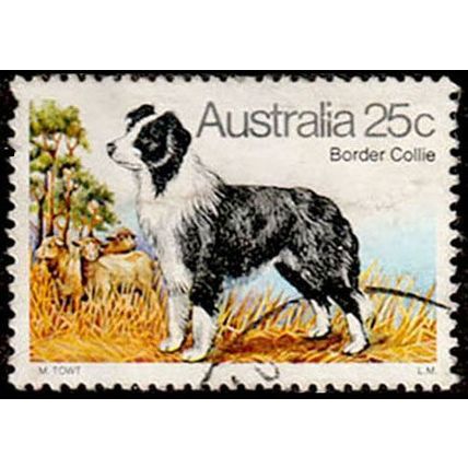 Australia 1980 Dogs Border Collie 25c Used Stamp