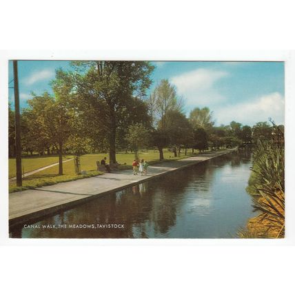 Canal Walk The Meadows Tavistock Postcard Devon 0602