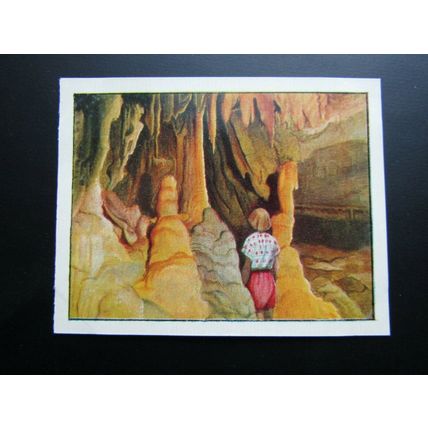 J. Bibby & Sons Cooking Fat 1955 This Wonderful World Card Variants (e31)