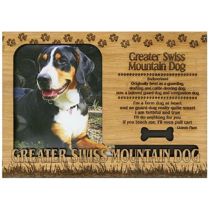 Greater Swiss Mountain Dog Engraved Wood Picture Frame Magnet