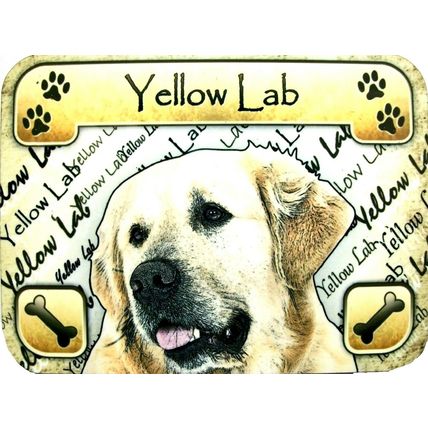 Yellow Lab Photo Fridge Magnet