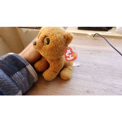 Beenie baby bear