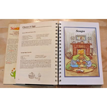 Orlando Winter Park Florida Cookbook SUNSATIONAL Alligators Junior League 1st Ed