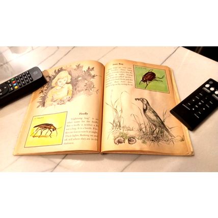 Old Vintage Little Golden Activity Book Insect Stamps (A) First Edition 1958