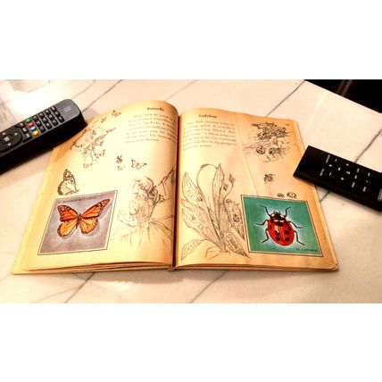 Old Vintage Little Golden Activity Book Insect Stamps (A) First Edition 1958