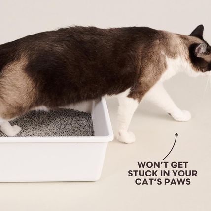 Tuft + Paw Really Great Cat Litter, Low Tracking Tofu Cat Litter, Clumping, Flus